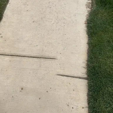 Profile image of Matt Sturniolo