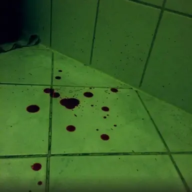 Profile image of 알렉스 베넷