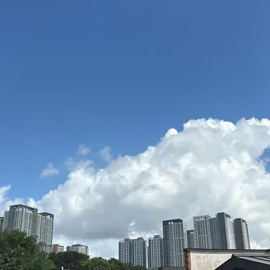 Profile image of 한지성