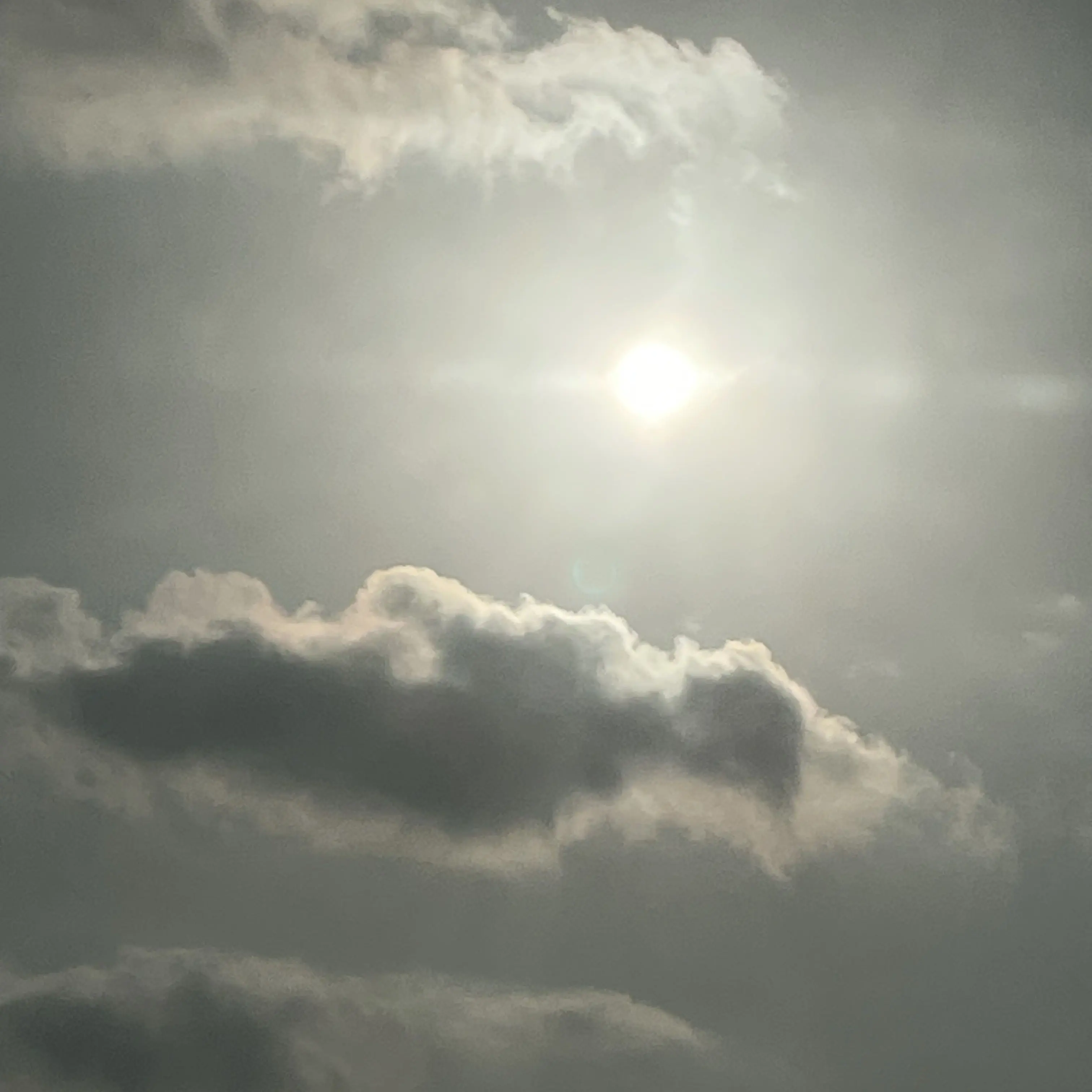 FolksyLung5132의 정공룡