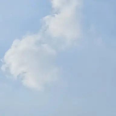 Profile image of 야마모토 하쿠