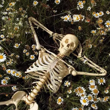 Profile image of 루이스