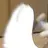 리