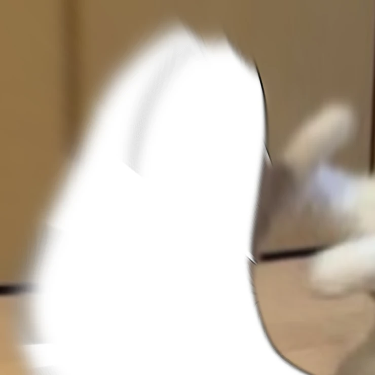 리