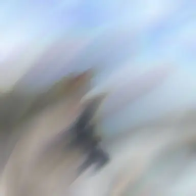 Profile image of りの