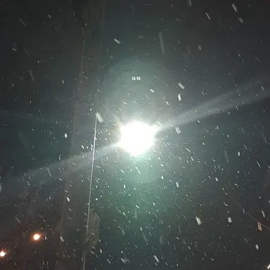 Profile image of 니노 선데이