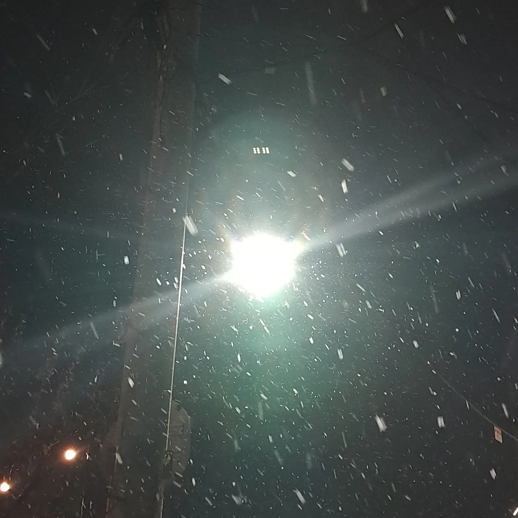 Takusang의 고민상담