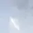 팀셀