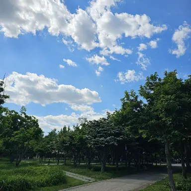 Profile image of 김민정