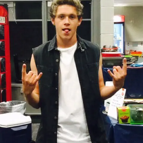 MutedFloss4565의 niall horan