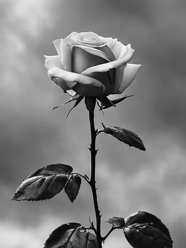 Silent_Dream_0924의 [평@&#범?한 아저씨들-..]