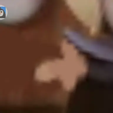 Profile image of 늑대