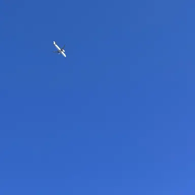 Profile image of Captain