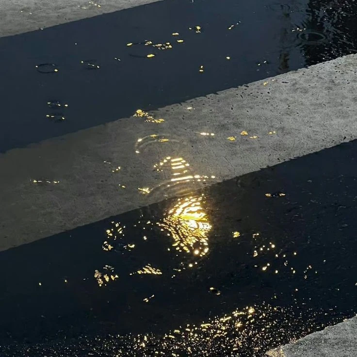 金俊久
