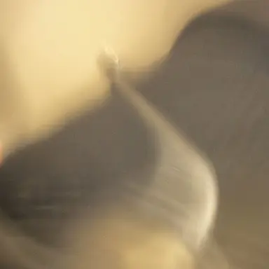 Profile image of 서아