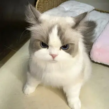 Profile image of うぉぬ