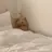 김규빈