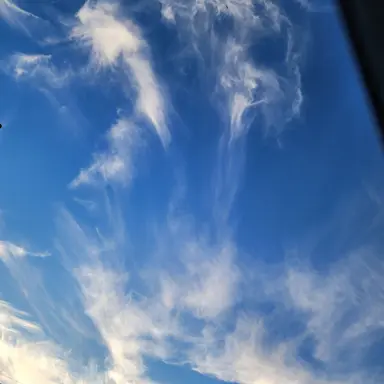 Profile image of 슈가