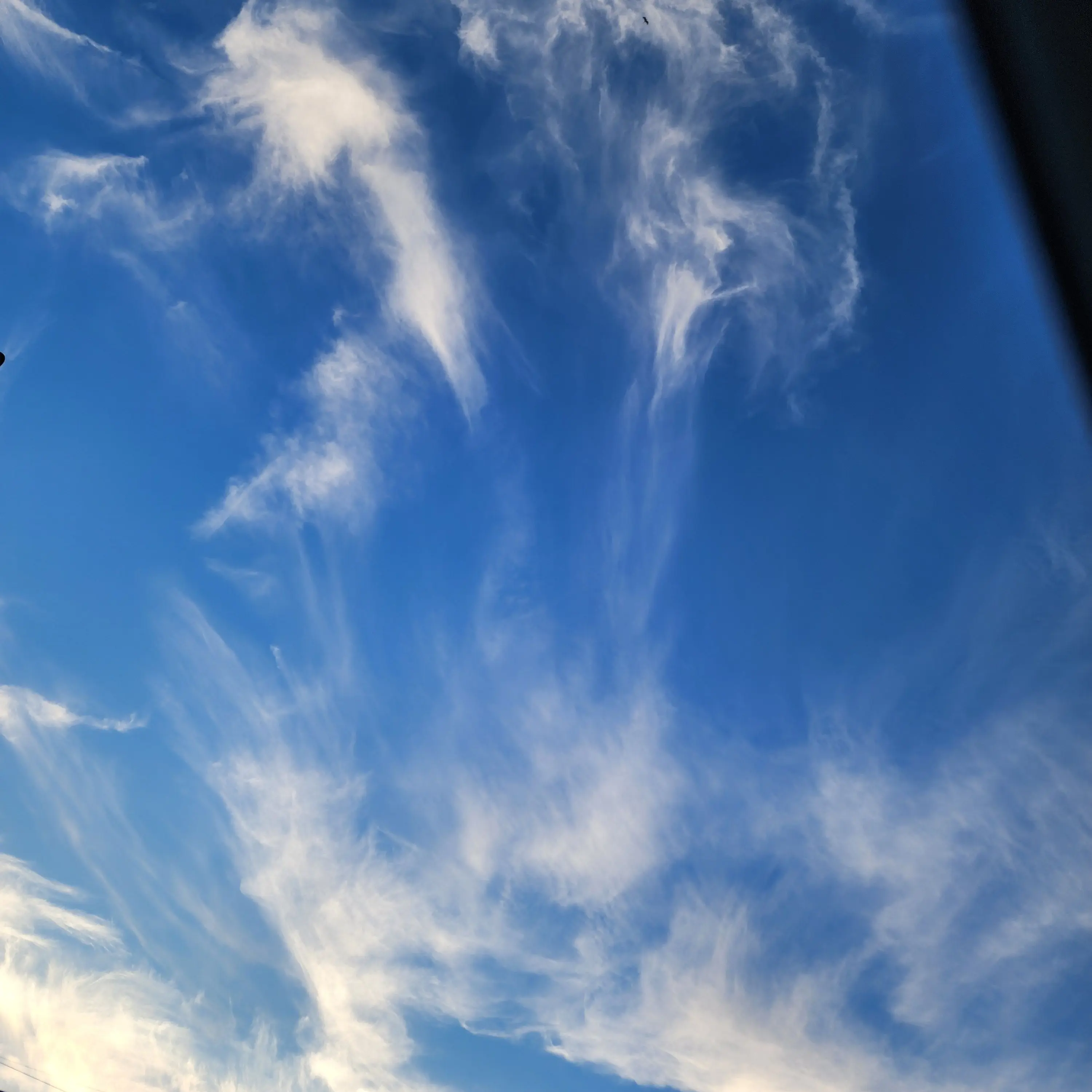 ster_yeonseo의 양갈레를 한 유저?