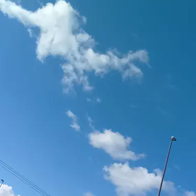 Profile image of 源田司令