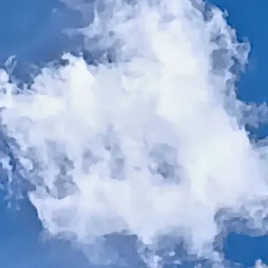 Profile image of 林