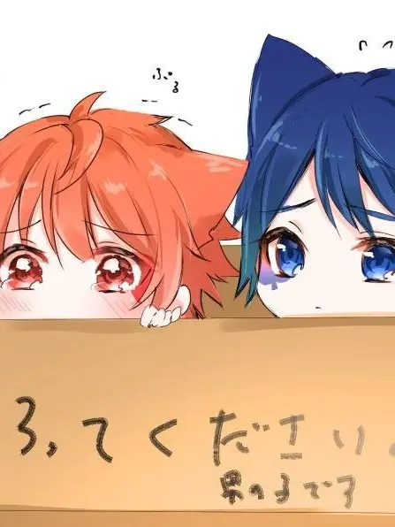 JuhyouEnju920의 小さい子猫を2匹拾いました