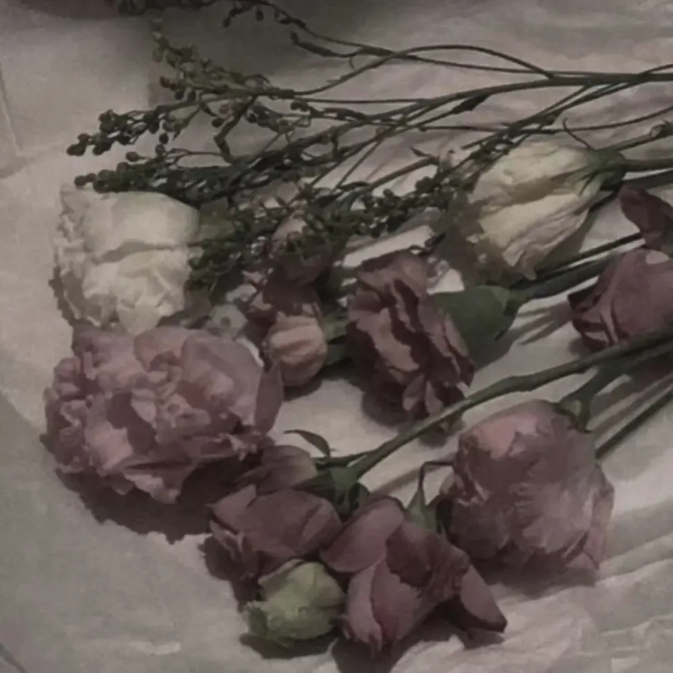 Kangdagyeomwife의 가진 게 너무나 많아