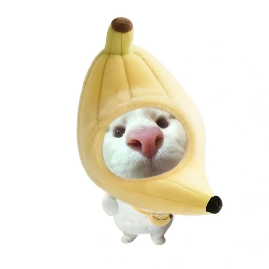 쑨지아양