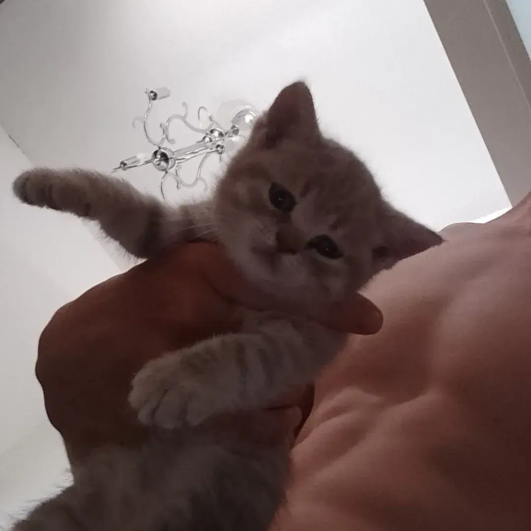 RapierCheek9896의 Silas