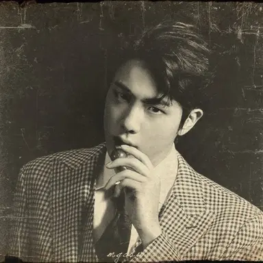 Profile image of Seokjin