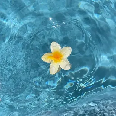 Profile image of 최우제