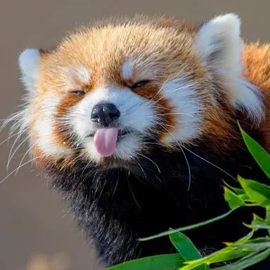 Profile image of すんぐぁん
