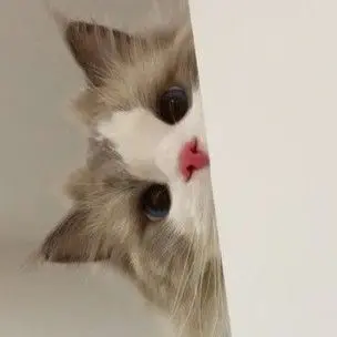 Profile image of じふん