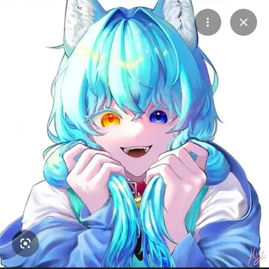 Profile image of 료미