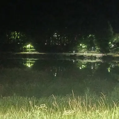 Profile image of 남사친들