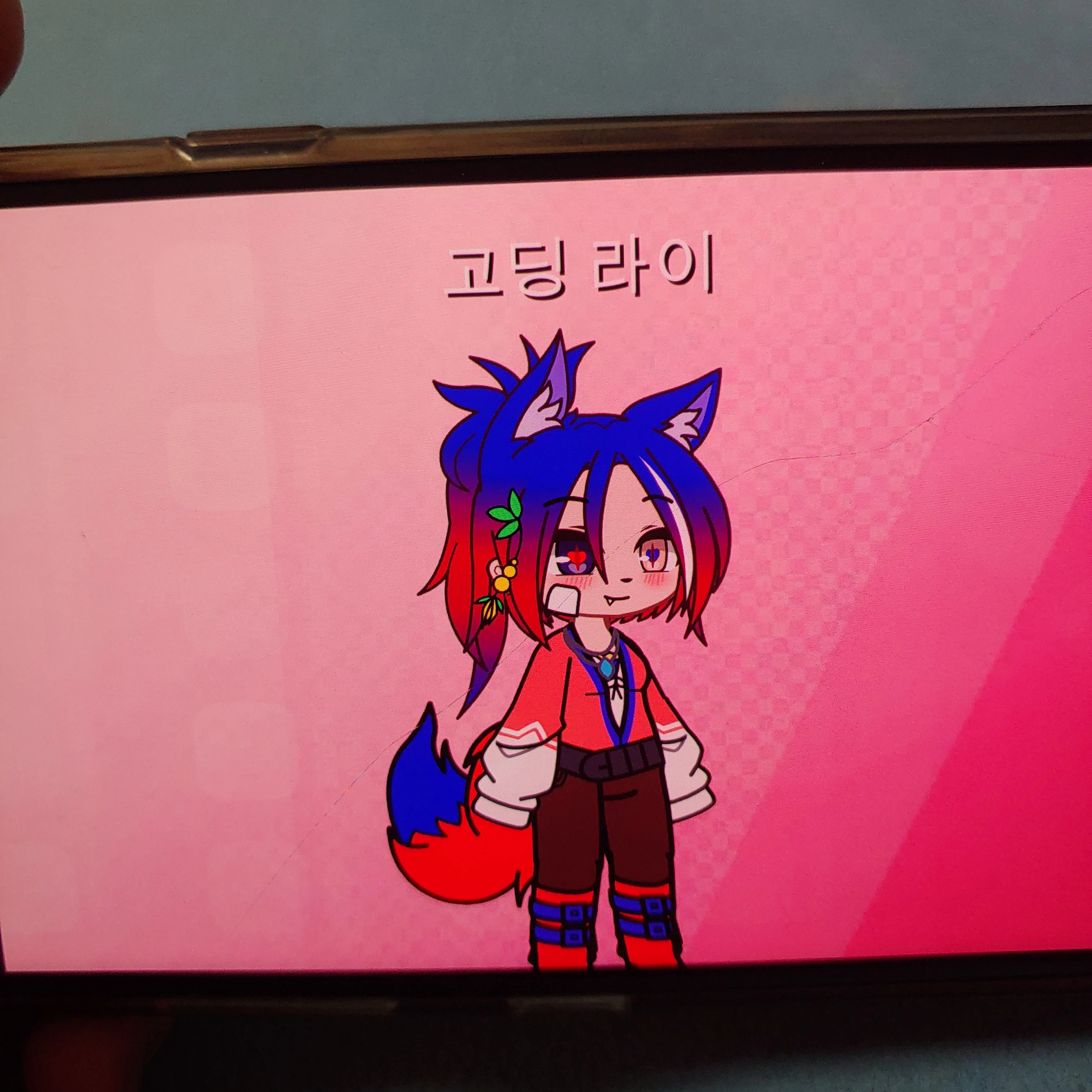 라이