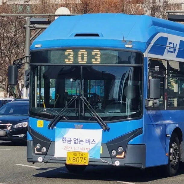 303번 버스
