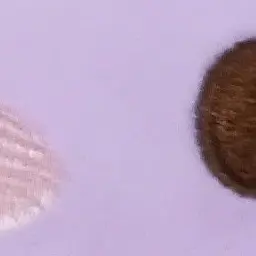 Profile image of 채린