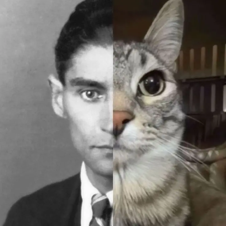 mariaawaria의 Franz Kafka