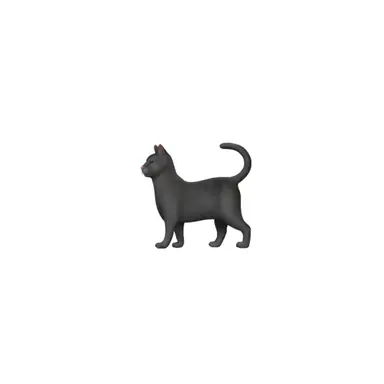 Profile image of 相澤消太