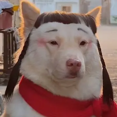 Profile image of 김여우