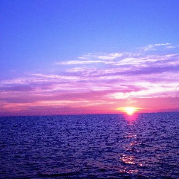 urei.ieru의 撃てよ。