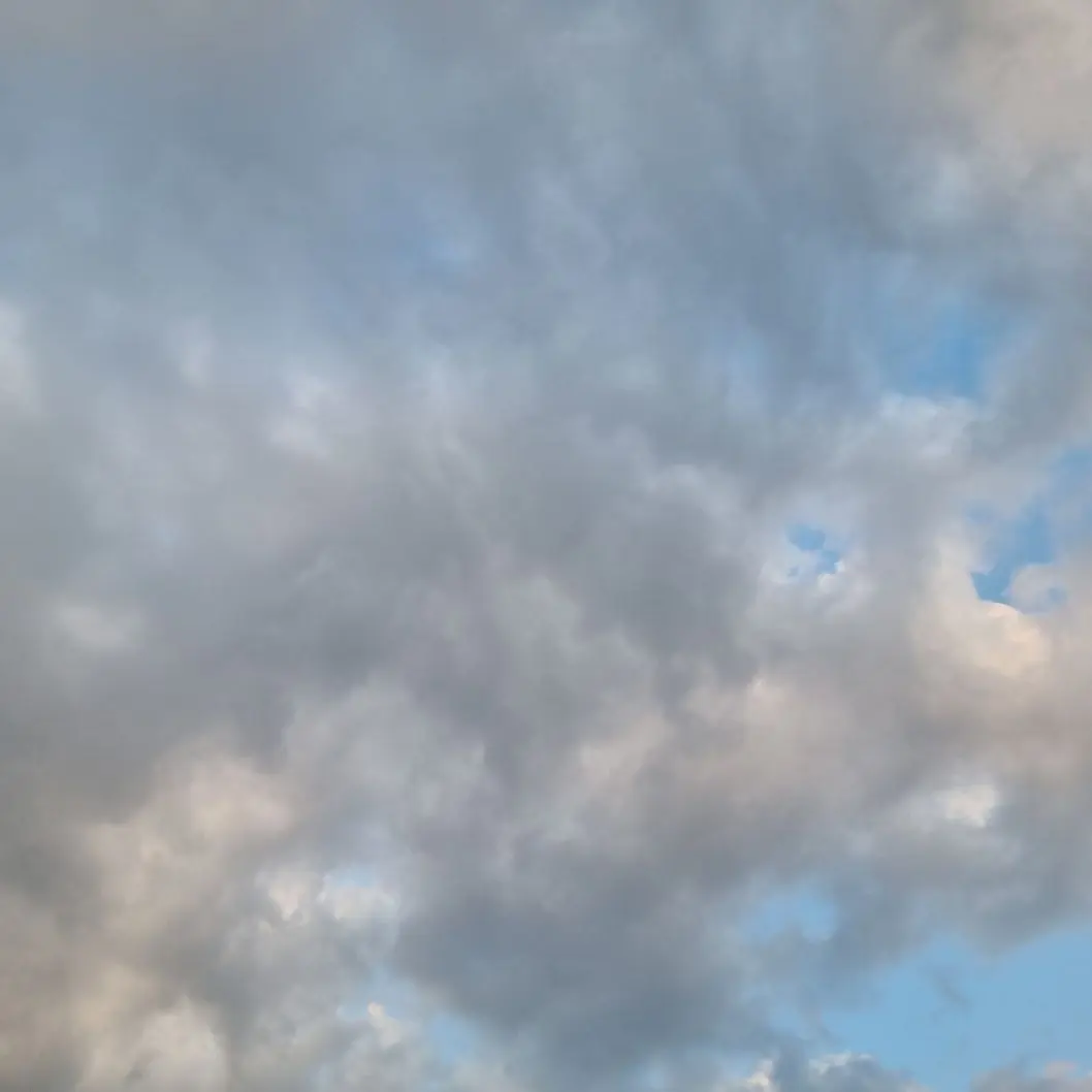 BadFence5699의 저 끝까지 달려