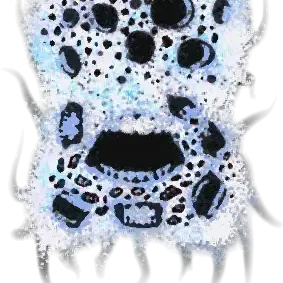 Profile image of ドレット