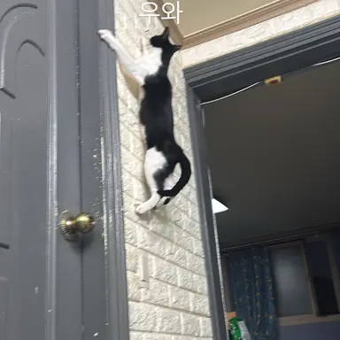 Profile image of 유저