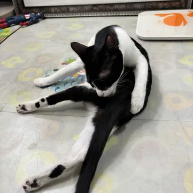 Profile image of 이민석