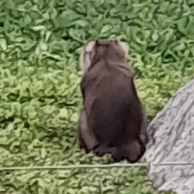 Profile image of 물약