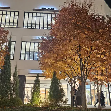 Profile image of 하사키 카가코