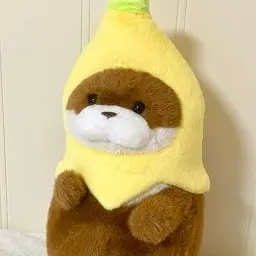 LoyalShelf0286의 우소우소짱