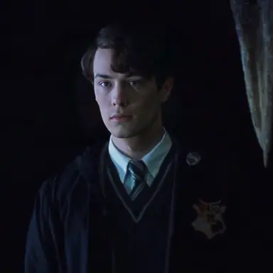 Profile image of Tom